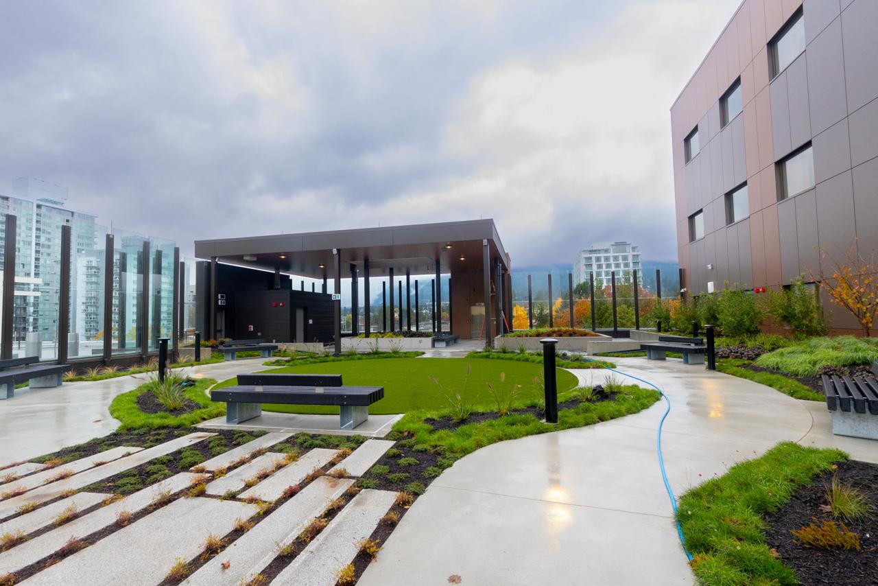 Rooftop garden at a hospital
