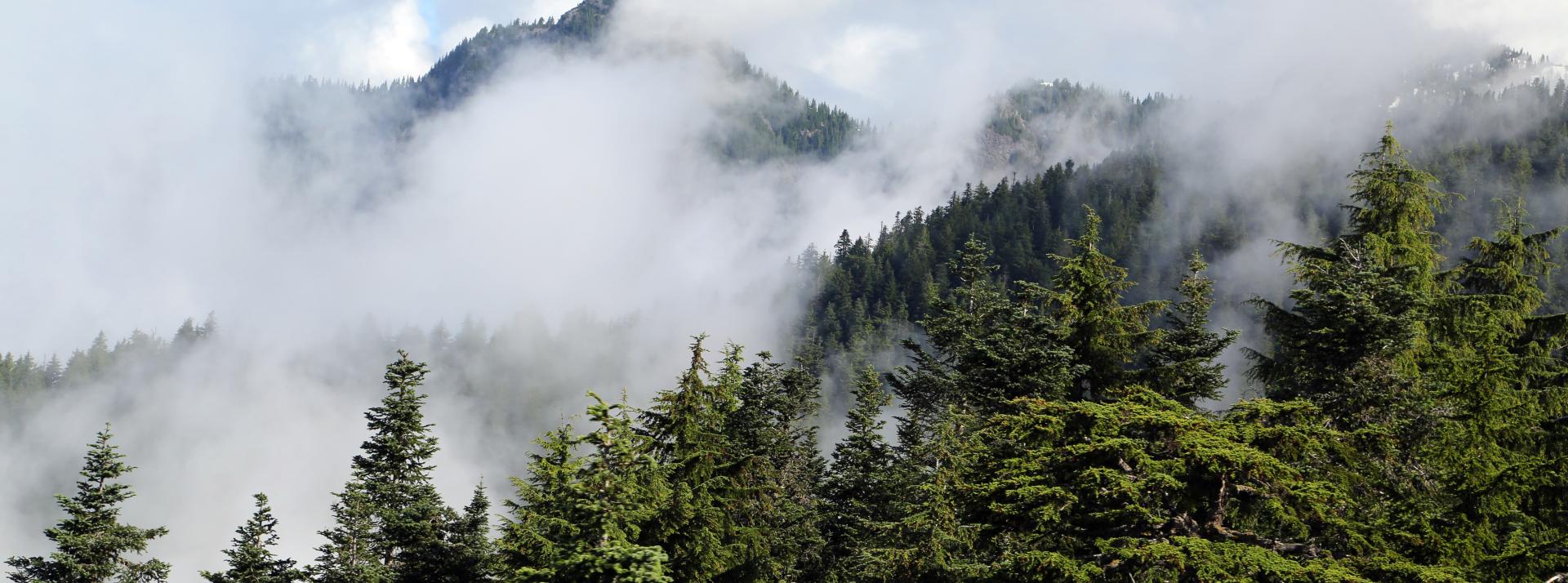 Smoke scattered throughout the mountainside