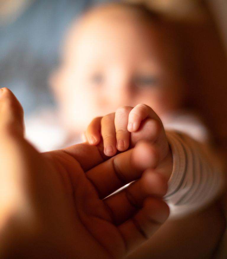 An adult hand holding the small hand of a newborn baby