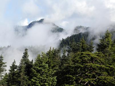 Smoke scattered throughout the mountainside