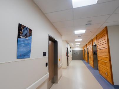 Hospital hallway with indigenous artwork on the wall