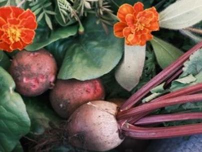 beets, leaves and flowers grouped together